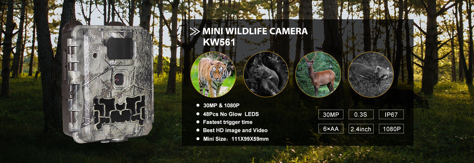 qualité Caméra de faune de Digital usine
