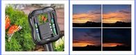 appui SDHC MMC de Time Lapse de caméra de 1.3M Pixels Wildlife Garden