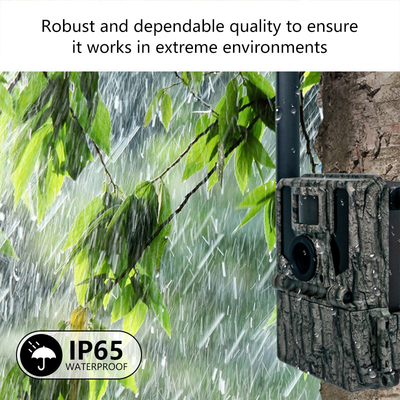 Keepguard 4G Caméras cellulaires de piste forestière avec télécommande APP