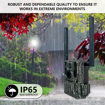 App Remote Control Caméra de suivi GPS