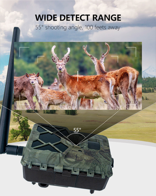 Caméra de piste KW886 intégrée à la carte SIM 4G 24MP 1080P à 30fps caméra de jeu IP67 imperméable à l'eau avec contrôle APP