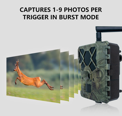 Caméra KW886 rentable pour la faune avec carte SIM 4G à commande APP 24MP 1080P à 30 images par seconde caméra de jeu à vision nocturne IP67 étanche