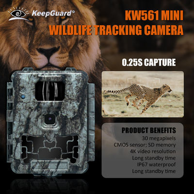 KW561 Wildlife Trail Infra Cam Mini 30MP 0,25s Vitesse Résolution vidéo 4K Capteur CMOS imperméable à l'eau Mémoire SD Vision nocturne