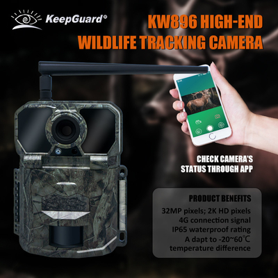 KW896 caméra de suivi de la chasse à la faune 4G caméra de suivi cellulaire usine-vente OEM ODM caméra de surveillance de la faune