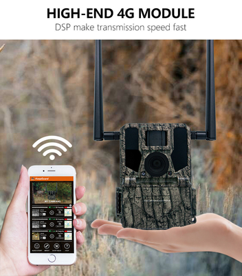 Caméra de trail sans fil 4G camouflage caché KW897 avec double antenne vision nocturne 36MP vidéo 2K pour la chasse au cerf