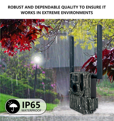 Caméra de trail sans fil 4G camouflage caché KW897 avec double antenne vision nocturne 36MP vidéo 2K pour la chasse au cerf