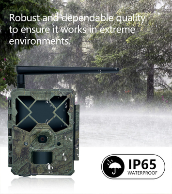 KW886 caméra de chasse à la forêt avec contrôle APP 4G carte SIM 24MP 1080P à 30 images par seconde imperméable à l'eau IP67 vision nocturne