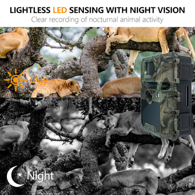 KW571 usine OEM ODM Mini Wildlife Scouting Caméra de piste Timelapse IP67 Sensor CMOS sans éclat et mémoire SD