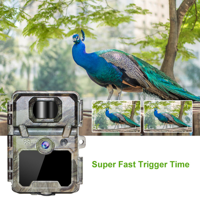 KW571 usine OEM ODM Mini Wildlife Scouting Caméra de piste Timelapse IP67 Sensor CMOS sans éclat et mémoire SD