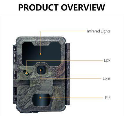 KW866 Chemin de chasse WIFI Caméra imperméable à l'eau IP67 OEM/ODM 512 Go de stockage Carte mémoire SD 32MP 4K
