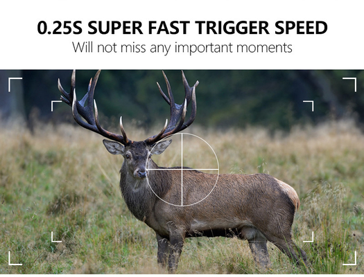 KW866 Chemin de chasse WIFI Caméra imperméable à l'eau IP67 OEM/ODM 512 Go de stockage Carte mémoire SD 32MP 4K