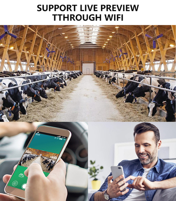 KW866 Chemin de chasse WIFI Caméra imperméable à l'eau IP67 OEM/ODM 512 Go de stockage Carte mémoire SD 32MP 4K