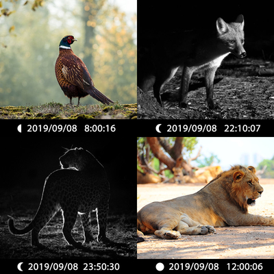 KW696 caméra de chasse en plein air double objectif 30MP caméra de piste sans lueur 1080p vision nocturne 512G pour