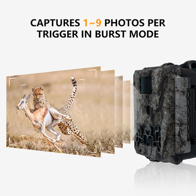 KW561 Trail Infra Cam Mini 30MP 0,25s Vitesse Résolution vidéo 4K Capteur CMOS étanche SD Me