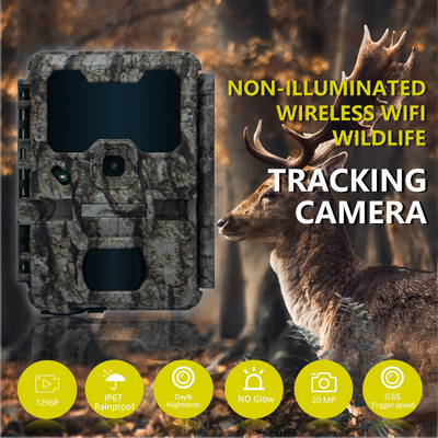 KW865 WIFI Caméra cachée Caméra de chasse sans fil extérieure IP67 20MP Caméra de piste qui envoie des images à votre