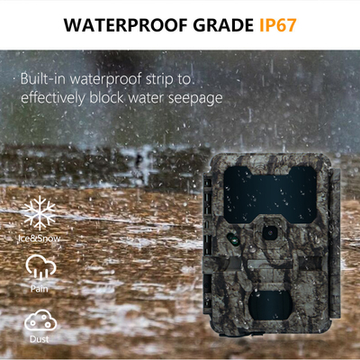 KW865 WIFI Caméra cachée Caméra de chasse sans fil extérieure IP67 20MP Caméra de piste qui envoie des images à votre