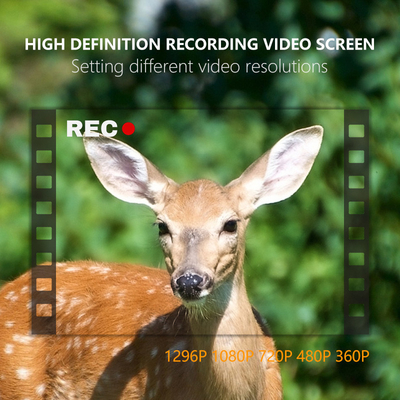 KW865 WIFI Caméra cachée Caméra de chasse sans fil extérieure IP67 20MP Caméra de piste qui envoie des images à votre