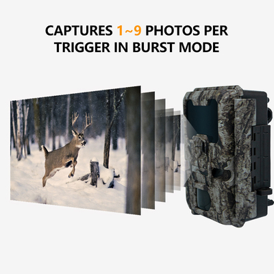 KW865 WIFI Caméra cachée Caméra de chasse sans fil extérieure IP67 20MP Caméra de piste qui envoie des images à votre