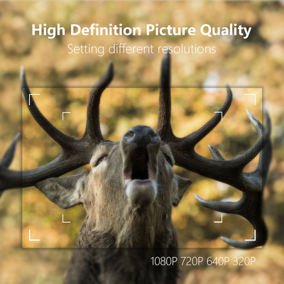 KW865 WIFI Caméra cachée Caméra de chasse sans fil extérieure IP67 20MP Caméra de piste qui envoie des images à votre