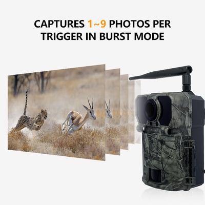 KW865 WIFI Caméra cachée Caméra de chasse sans fil extérieure IP67 20MP Caméra de piste qui envoie des images à votre