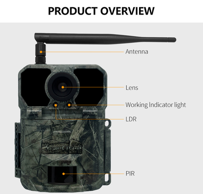 KW865 WIFI Caméra cachée Caméra de chasse sans fil extérieure IP67 20MP Caméra de piste qui envoie des images à votre
