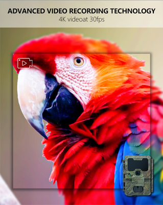 WIFI trail Camera KW866 imperméable à l'eau IP67 OEM/ODM jusqu'à 512 Go Cartes de mémoire SD 32MP 4K