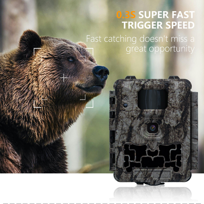Caméra de trail KW561 30MP 0.25s déclencheur Vitesse 4K Résolution vidéo imperméable à l'eau IP67 jusqu'à 512GB de stockage