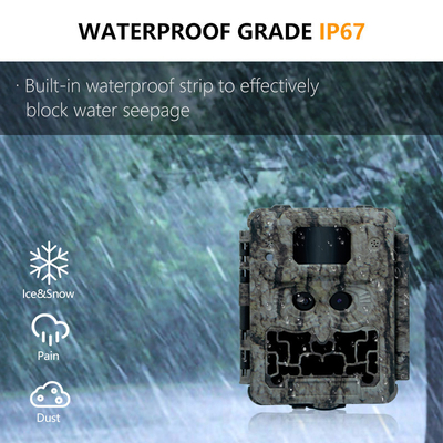 Caméra de chasse KW591 sans éclat double capteur 1080P imperméable à l'eau IP67 0.4s vitesse de déclenchement jusqu'à 512 Go de stockage Caméra de chasse