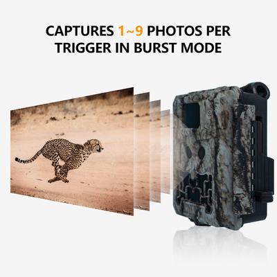 Caméra de chasse KW591 sans éclat double capteur 1080P imperméable à l'eau IP67 0.4s vitesse de déclenchement jusqu'à 512 Go de stockage Caméra de chasse