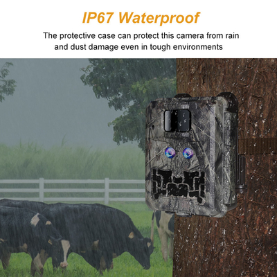 Caméra de chasse KW591 sans éclat double capteur 1080P imperméable à l'eau IP67 0.4s vitesse de déclenchement jusqu'à 512 Go de stockage Caméra de chasse