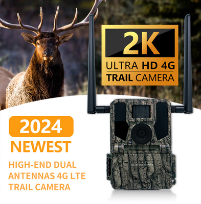 2024 La plus récente caméra de chasse sans fil 4G haut de gamme KW897 avec double antenne 100 pieds de portée nocturne 36MP vidéo 2K à 30fps pour la faune