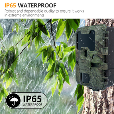 Caméra de chasse KW788 imperméable à l'eau IP67 vidéo 4K 32MP Facile à naviguer utilisation simple longue durée de travail robuste