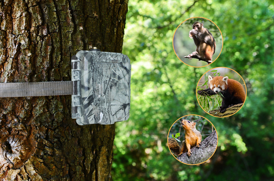 KG45 TRAMP ALARM TRAIL CAMERA pour la chasse de soutien 1 ~ 5 numéros de téléphone portable les amateurs d'appel pour transmettre SMS réponse rapide