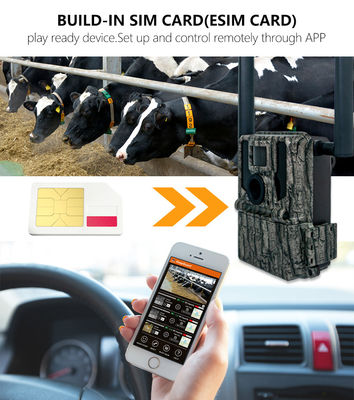 Caméras de chasse et de piste Panneau solaire 4G Caméra sans fil KW897 avec antennes doubles 100 pieds Portée nocturne 36MP Vidéo 2K à 30fps