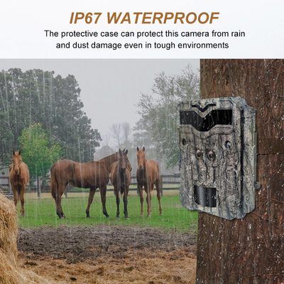 Caméra de chasse de surveillance KW698A avec double objectif 1080P 30MP imperméable à l'eau IP67 jusqu'à 512GB de vision nocturne 0.25s déclencheur