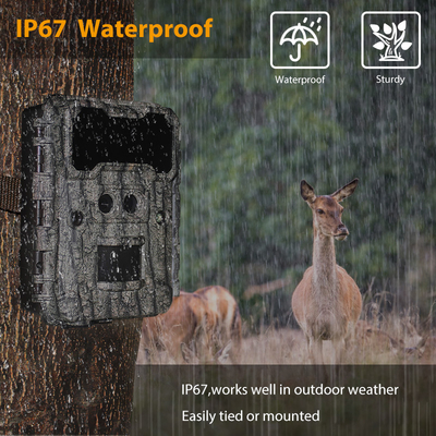 Caméras de chasse HD de 30 MP avec vision nocturne LED sans lueur et fonction PIR pour la surveillance de la faune