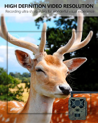 Caméra de chasse sans fil 4G KW886 avec antenne 24MP 1080P 0.1s vitesse de déclenchement 48pcs lumières infrarouges lumière intégrée dans la carte SIM pour la recherche de la faune