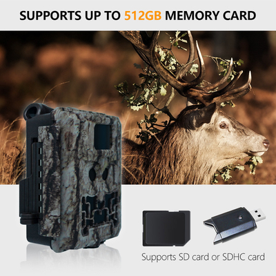 Caméra de surveillance KW591 sans éclat avec deux capteurs 1080P imperméable à l'eau IP67 0.4s déclencheur jusqu'à 512GB de stockage pour la chasse