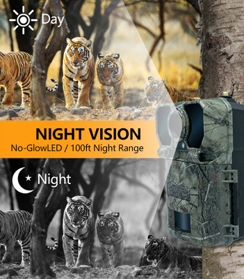 Caméra de chasse sans fil 4G KW896 avec antenne 100ft portée de nuit vision nocturne 32MP 2K 0.15s vitesse de déclenchement pour la chasse au cerf
