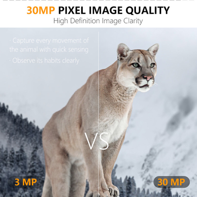 Caméra de chasse 4G KW895 avec APP 2K FHD Vidéo image 30MP imperméable à l'eau IP67 jusqu'à 512 Go de stockage pour la recherche sur la faune