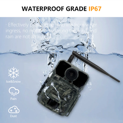 Caméra de chasse 4G KW895 avec APP 2K FHD Vidéo image 30MP imperméable à l'eau IP67 jusqu'à 512 Go de stockage pour la recherche sur la faune