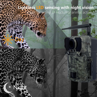 Caméra de chasse 4G KW895 avec APP 2K FHD Vidéo image 30MP imperméable à l'eau IP67 jusqu'à 512 Go de stockage pour la recherche sur la faune