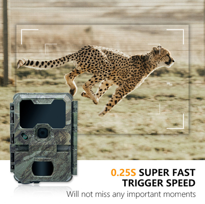 Caméra de chasse à vision nocturne de petite taille KW788 0.1s déclencheur d'image nette 32MP vidéo 4K imperméable à l'eau IP67 pour la chasse
