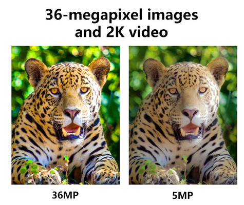 Caméra de chasse sans fil cellulaire 4G KW897 intégrée à une carte SIM 36MP capture vidéo 2K à 30 images par seconde avec deux antennes pour la faune