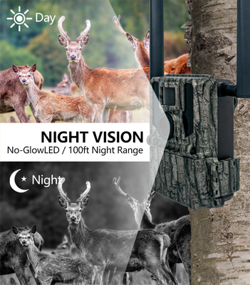 Caméra de chasse sans fil cellulaire 4G KW897 intégrée à une carte SIM 36MP capture vidéo 2K à 30 images par seconde avec deux antennes pour la faune