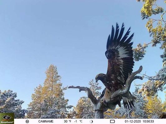 Caméra de piste 4G imperméable à l'eau IP65