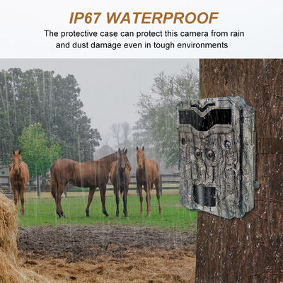 Caméras de chasse HD à double objectif