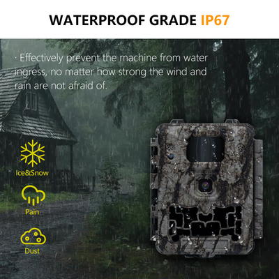 Caméra de trail de faune pas de lueur 30MP Image 1080P Vidéo imperméable à l'eau IP67 jusqu'à 512GB Stockage Prix compétitif Caméra de chasse