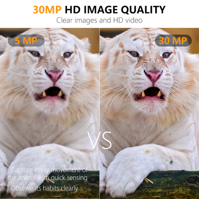 Caméra de trail de faune pas de lueur 30MP Image 1080P Vidéo imperméable à l'eau IP67 jusqu'à 512GB Stockage Prix compétitif Caméra de chasse