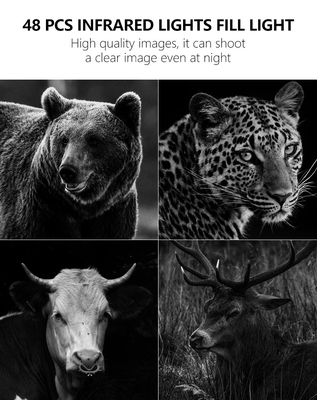 Faites l'expérience de performances inégalées avec la caméra de suivi 4G : la solution parfaite pour la surveillance de la faune.